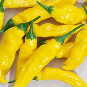 Aji Pineapple – svetlo rumeni plodovi s sadnim ananasovim okusom