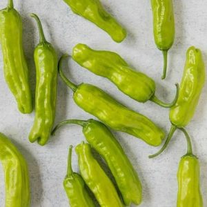 Zeleni čili Shishito z rahlo nagubanimi plodovi
