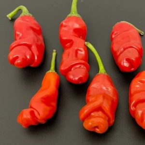Peter Penis Red – čili posebne anatomske oblike