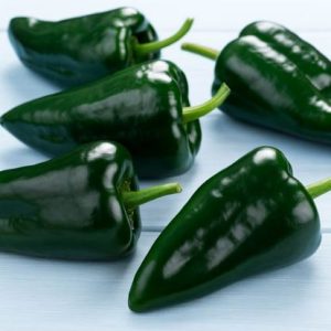 Poblano – veliki temno zeleni plodovi mehiškega čilija