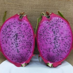 Pitaja Cosmic Charlie – rdeča lupina in vijolično-rdeče meso“