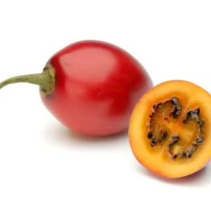 Drevesni paradižnik