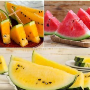 Mešanica lubenic različnih barv – rdeče, rumene, oranžne in bele