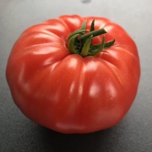 Paradižnik Maxwell’s Big Italian – veliki rdeči mesnati plodovi