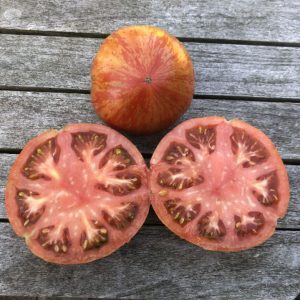 Paradižnik Solar Flare XL – veliki rdeči plodovi z rumenimi sončnimi progami