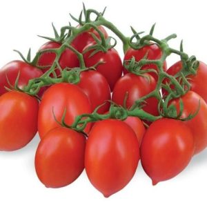 Paradižnik Pendolino F1 – majhni rdeči plodovi