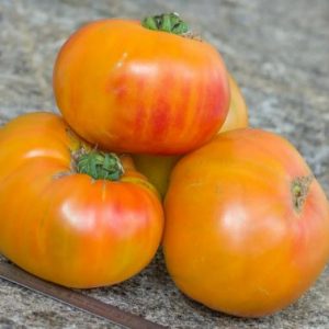 Paradižnik Ananas – velik rumeno-oranžen plod z rdečimi progami