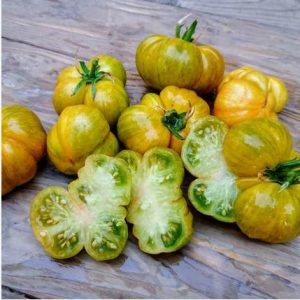 Paradižnik Glacial Zebra – limetno zeleni, črtasti plodovi srednje velikosti