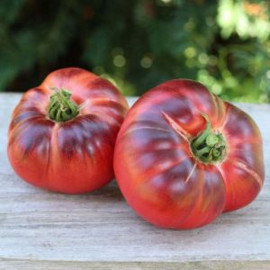 Paradižnik Mar Azul – modro-vijolični plodovi