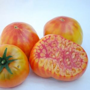 Paradižnik Mr. Stripey – veliki rumeno-rdeče marmorirani plodovi