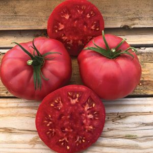 Rožnat paradižnik Ponderosa Pink z velikimi mesnatimi plodovi