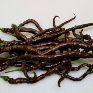 Temno rjavi dolgi plodovi čilija Longhorn Chocolate