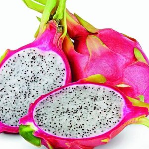 Pitaja B19 – rožnato-rdeč sadež z belim mesom