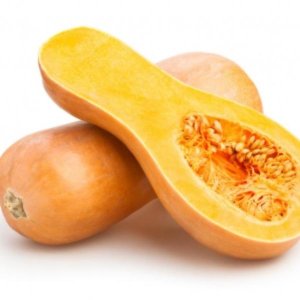 Bučka Butternut – dolga svetlo rumena bučka s oranžnim mesom