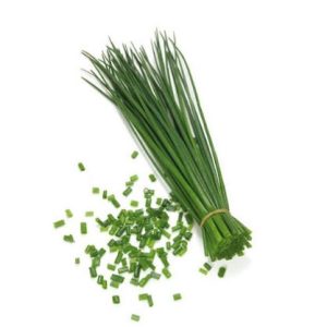 Drobnjak – sveža zelena stebla in vijoličasti cvetovi