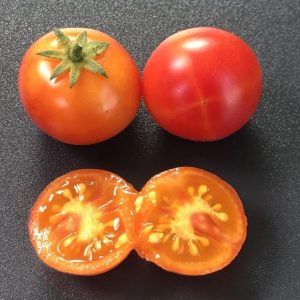 Paradižnik Isis Candy – marmorirani rumeno-rdeči češnjev plodovi
