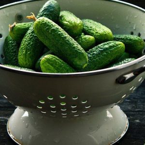 Kumara Marinda HY – temno zeleni drobni plodovi za vlaganje