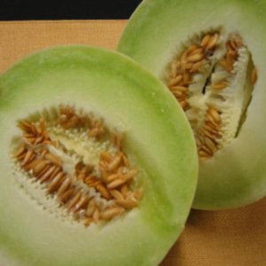 Melona Honeydew – gladka svetlo zelena lupina in zeleno meso