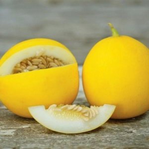 Melona - Mešanica Semen