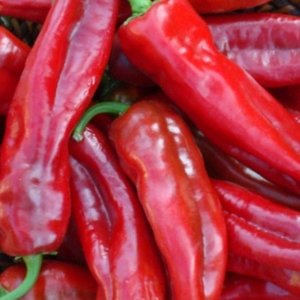 Paprika Corno Di Toro Rosso