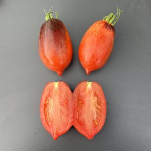 Paradižnik Antho Pink Panther – marmorirani malinovo-rdeči plodovi