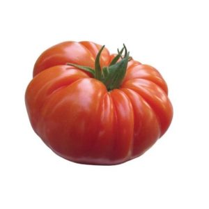 Paradižnik Raf Marmande – rebrasti rdeči plodovi odličnega okusa.