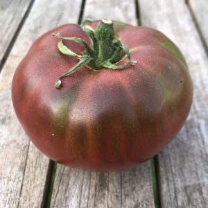 Paradižnik Slovenian Black – temni, rebrasti plodovi dediščinske sorte