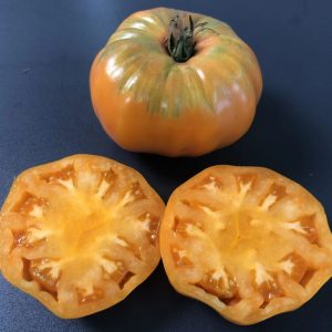 Veliki oranžni mesnati paradižniki sorte Summer Cider